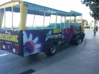 Beautiful apartment close beach. Sea