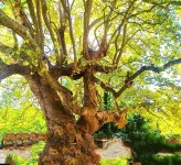 Elegant Modern Apartment in Heart of Marousi