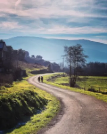 DUCHESS DUPLEX, WHERE EVERY DETAIL COUNTS