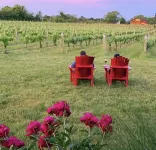 Inn The Vineyard: Secluded Waterfront Family Vacation Home in Mattituck