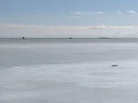 CABIN ON THE  SAGINAW BAY