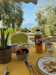 Farmhouse in an olive grove in Pelion Greece near Volos directly by the sea Hotels in Afissos