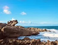 Surfers/backpackers Paradise