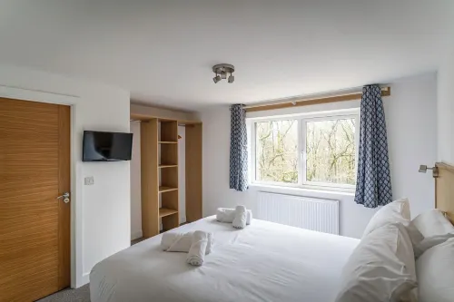 Beresford; woodland lodge for 18 w/ hot tubs, games, log burner nr Alton Towers