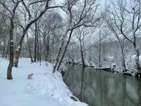 30/60/90 day rental ONLY Home on Falling Water River