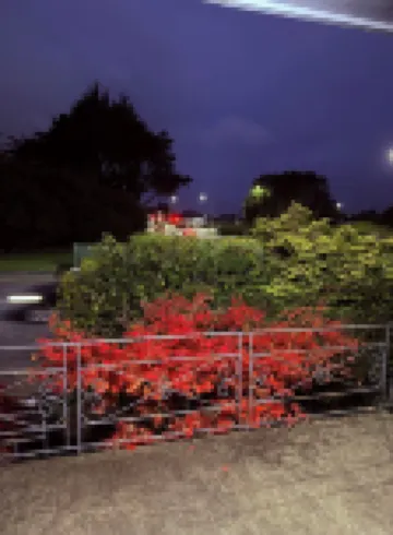 Comfort at Stag Lodge Just Mins Walk to Queens Park & Down Town Invercargill