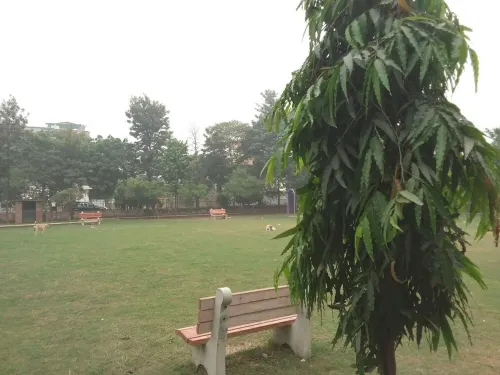 Handa Villa in Greater Noida