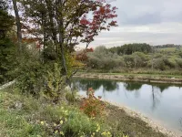 Cozy Timberwood cottage on 75 acres of privacy.