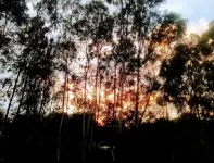 Charming, Well Located and Equipped!