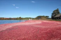 Just Renovated-Downtown Plymouth-America's Hometown-Spacious-Parking-Yard & MORE