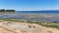Sea Edge Beachside Hotel - Pemandangan Pantai
