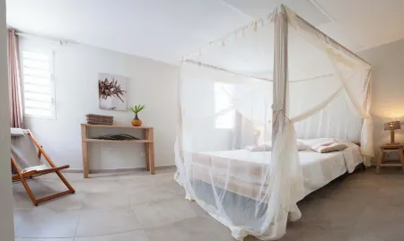 VILLA 4 STARS STANDING THE FEET IN THE WATER SWIMMING POOL AND PRIVATE GARDEN Отели в г. Ле Диаман