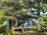 Beautiful Acadia views on 4 serene acres.  Private and peaceful after exploring