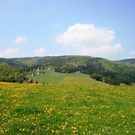 Ferienwohnung bei Willingen mit Terrasse