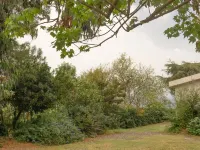 in the botanical garden