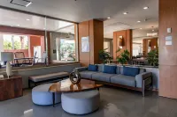 ستاي بريدج سويتس جوادالاخارا إكسبو باي آيتش جي