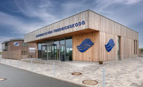 Comfort House (5 people) just 200 meters from the beach - with fireplace & beach chair Hotels in Friedrichskoog