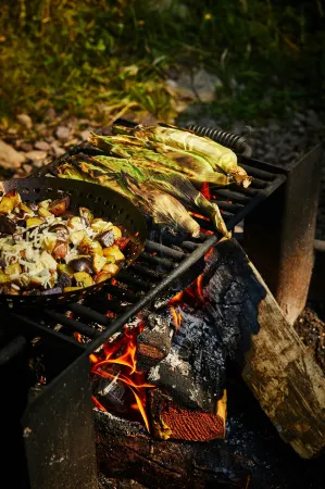 Postcard Cabins Kettle River, Outdoor Collection by Marriott Bonvoy Отели в г. Мус-Лейк