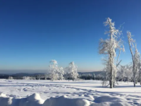 Holiday Home in Bestwig With Ski-storage Hotels in Bestwig