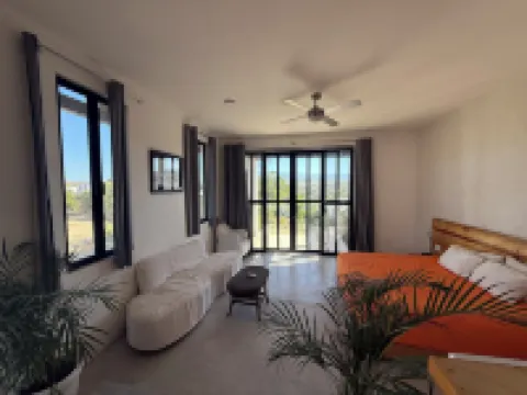 Estudio vuelo del aguila Hoteles en Todos Santos