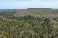 允許攜帶狗狗的兩卧室小屋，帶顆粒爐、洗衣機和烘乾機 - Wi-Fi