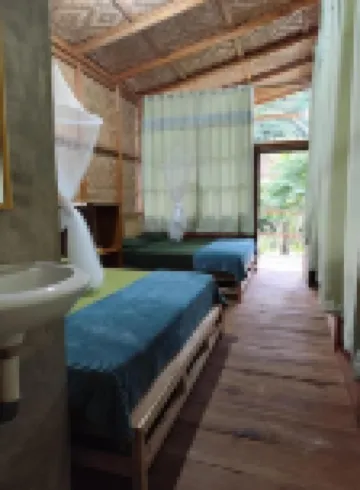 Bua Guest House Tangkahan
