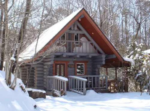 Log Cottages Chausunomori - Bintang 3