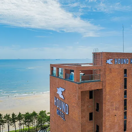 Hound Hotel Daecheon
