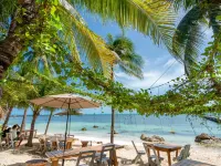 Mayan Monkey Isla Mujeres - Social Hotel Hotels in Isla Mujeres