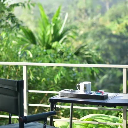 Rain Drops Wellness Villa Deniyaya, Sinharaja