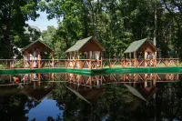 Park-Hotel Dubrava - 宠物友好