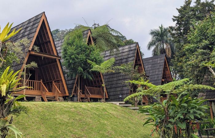Villa de Gema