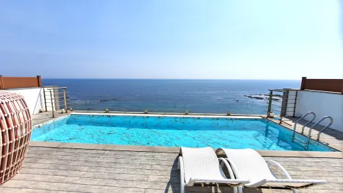 Pohang Vida Feliz Pool Villa - SPA
