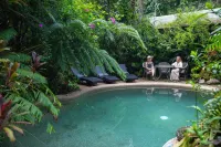 Heritage Lodge - in the Daintree - Pool