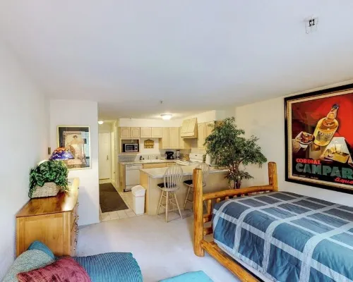 Slopeside Studio at Alyeska w/ Full Kitchen Hotels near Bear Cub