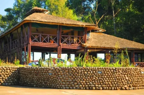 Davinci Gorilla Lodge - 3 estrellas