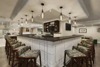 牛津安尼斯頓希爾頓花園飯店 - 酒吧