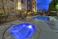 Hampton Inn & Suites Asheville Airport - piscina