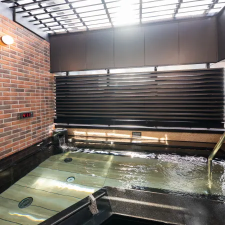 APA Hotel Keisei Ueno Ekimae Minami(Genyo-no-Yu)- Opening August 12 (Wed), 2026