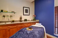 希爾頓逸林瀑布觀景水療度假村-尼亞加拉瀑布 - SPA