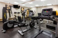 Wyndham Torreon - Phòng tập thể hình