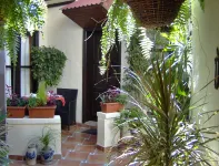 Mediterranean Holiday Home with Small Patio-Terrace Hôtels à proximité de : El Drago Milenario