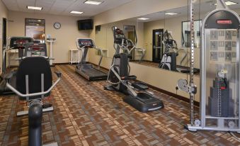 Holiday Inn Express & Suites Bridgeport - Clarksburg