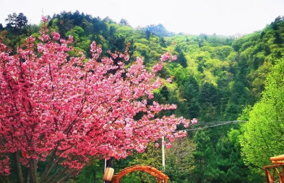 文馨小院民宿（户菜路分店）