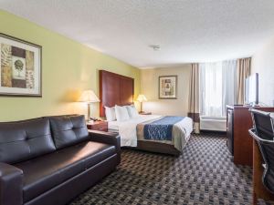 Comfort Inn Decatur Priceville