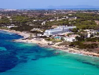 Insotel Hotel Formentera Playa