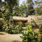 Sath Villa Naadi Ayurveda Resort