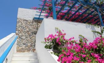 Meltemi Pension - Housity