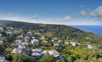 a picturesque village nestled on a hillside with houses , trees , and the ocean in the background at Hotel Petradi