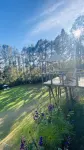 Glamping Vital Spa Hotels in Vereda Chaparral